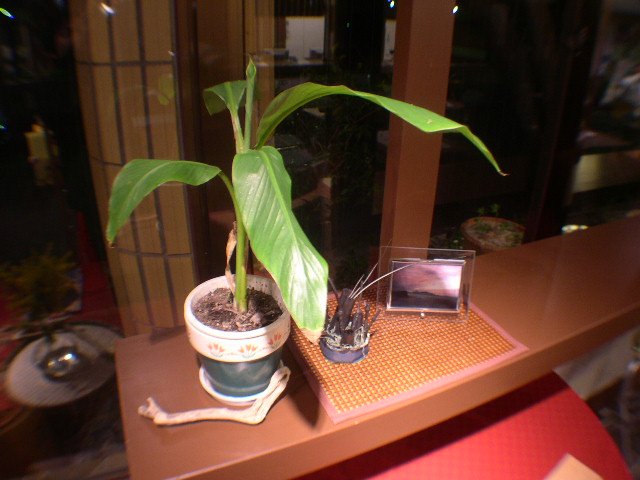 06.4.1 152.jpg